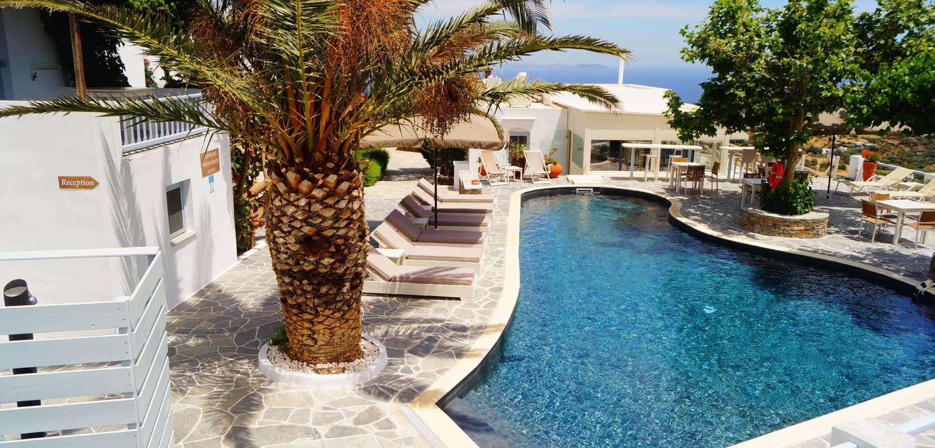 The pool at Petali Village Hotel with sun loungers, a palm tree and the sea in the distance