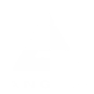 ANGVIS_logo_white